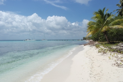 Isla Saona in der Dominikanischen Republik (Alexander Mirschel)  Copyright 
License Information available under 'Proof of Image Sources'